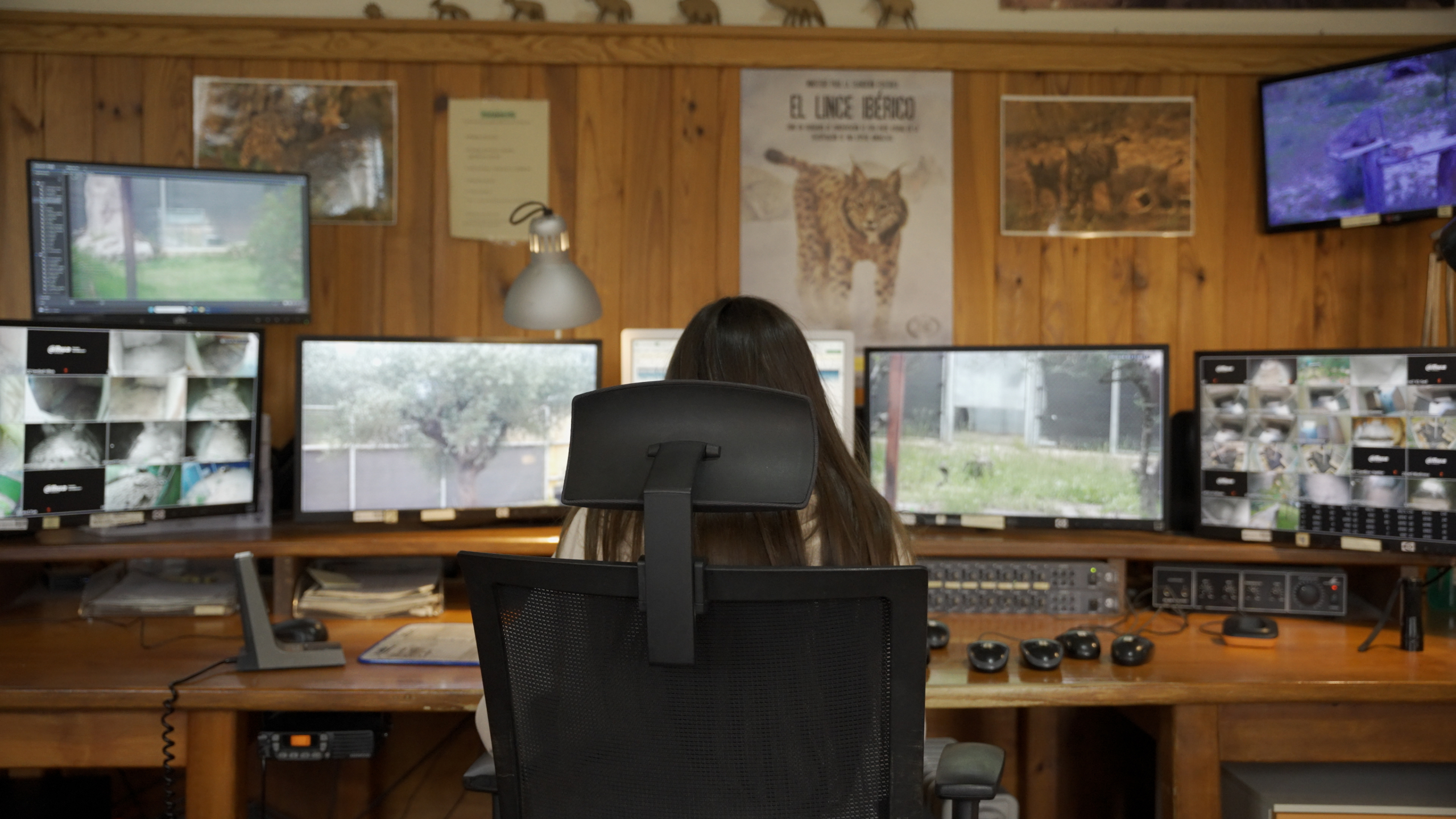 El Retorno del guardián en Doñana fotografiando el lince ibérico