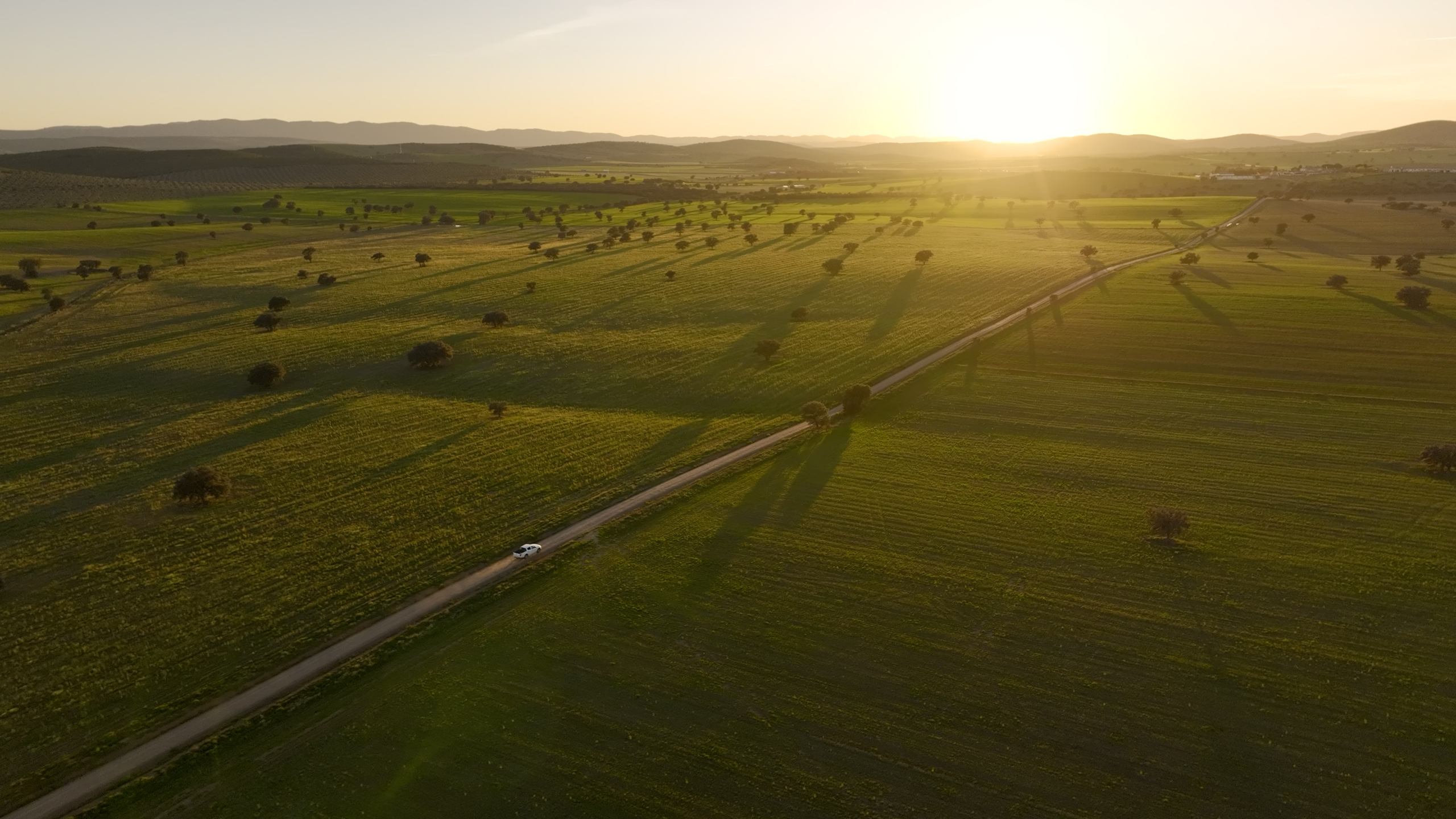 El documental aragonés sobre el lince ibérico viaja al sur de España