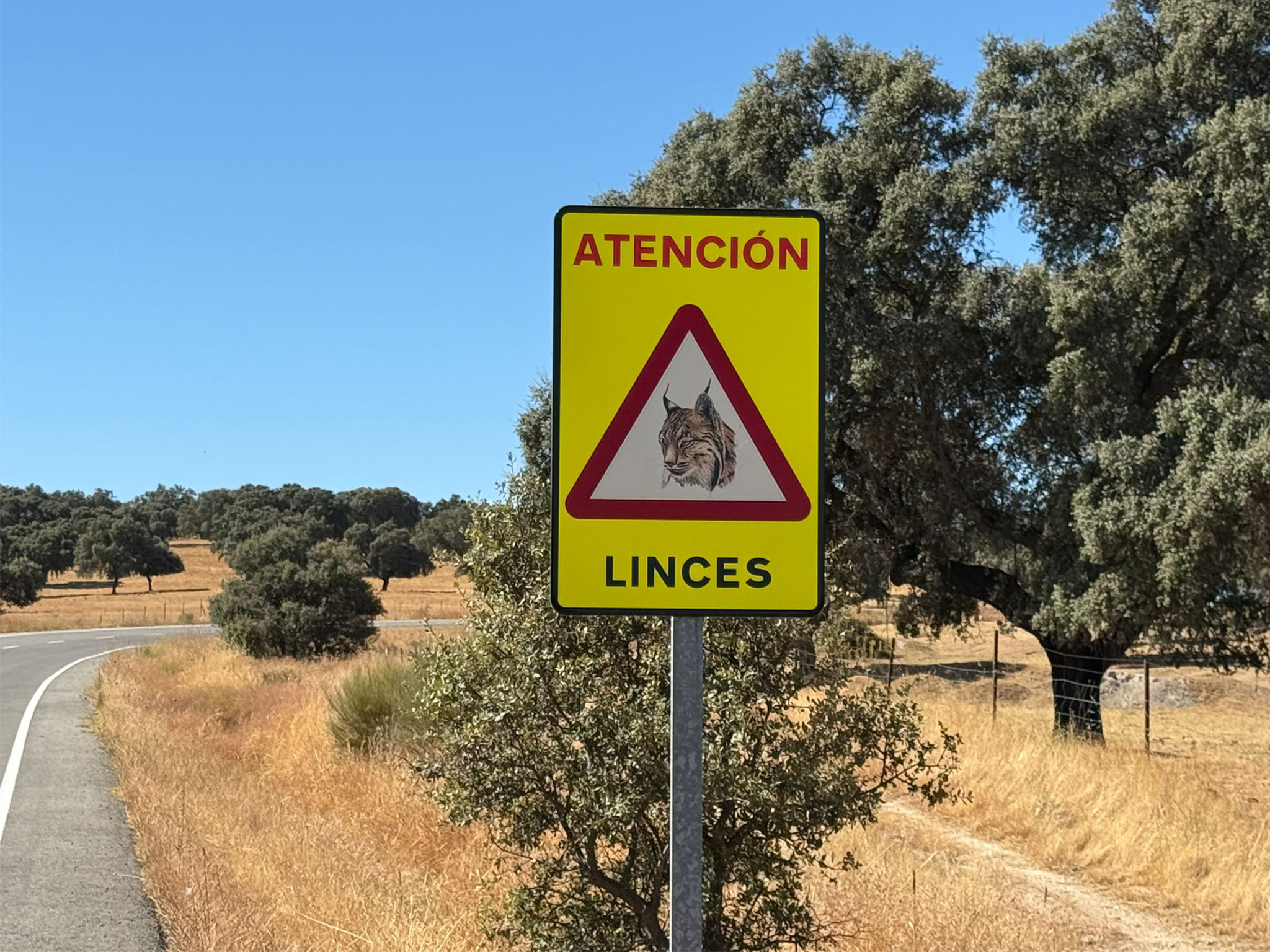 Parque Monfragüe en Extremadura El Retorno del Guardian