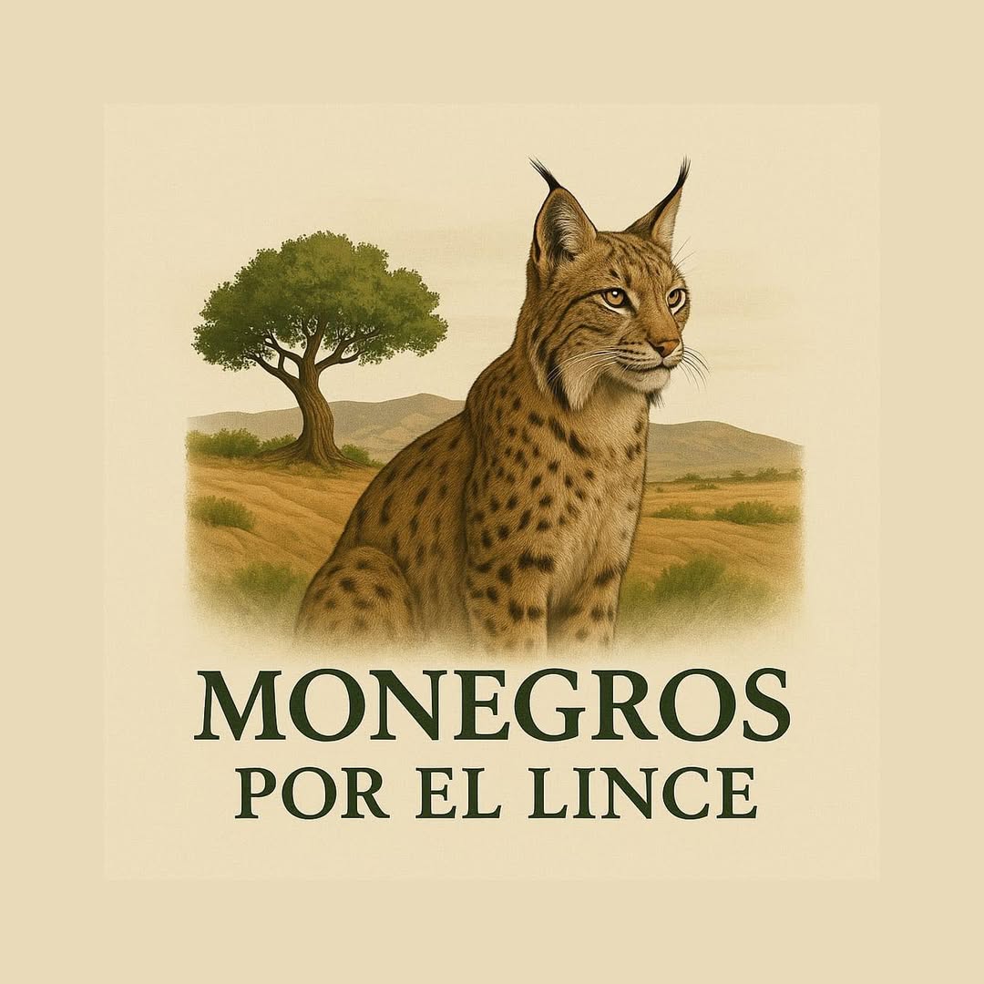 Plataforma MOnegros por elince