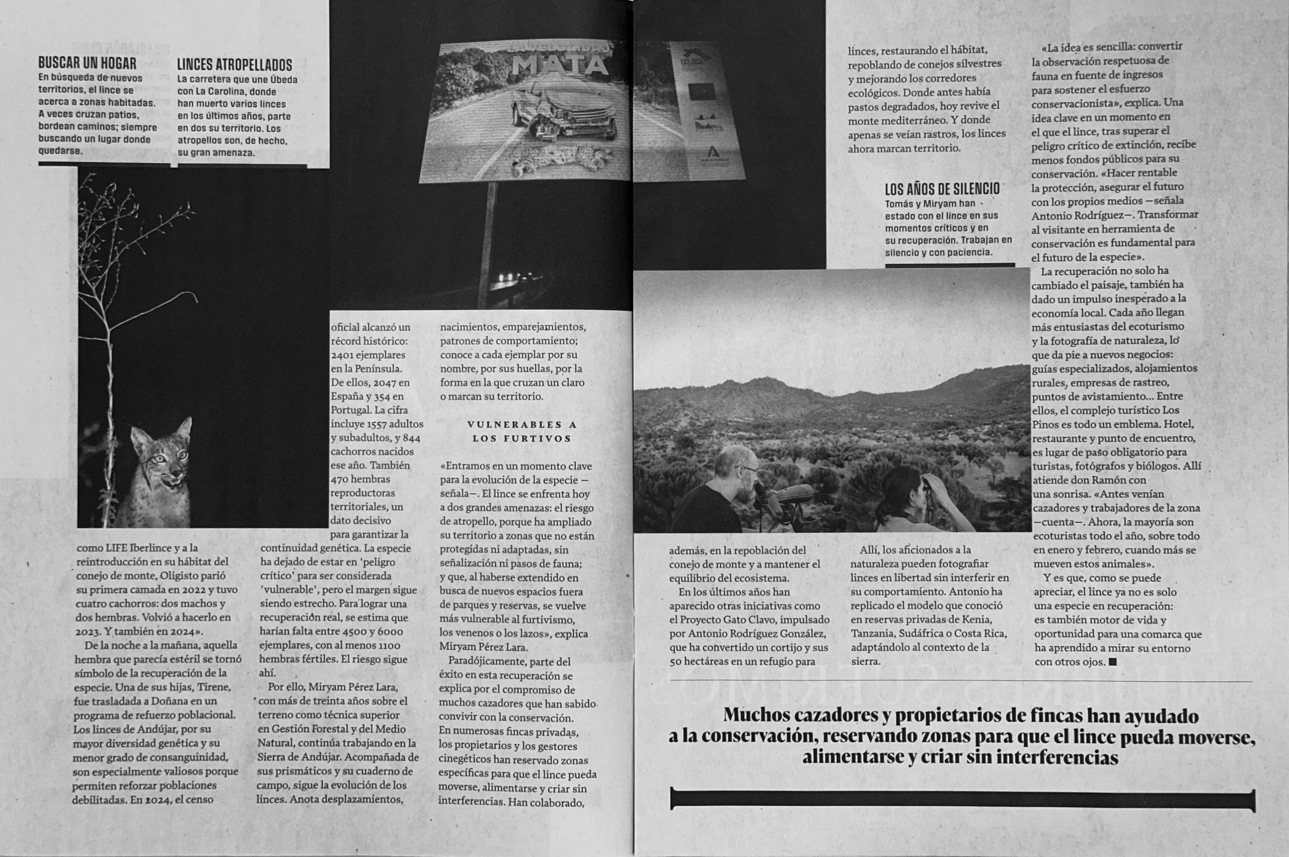 Artículo en El XL Semanal de El Pais sobre el Lince iberico - El Retorno del Guardian