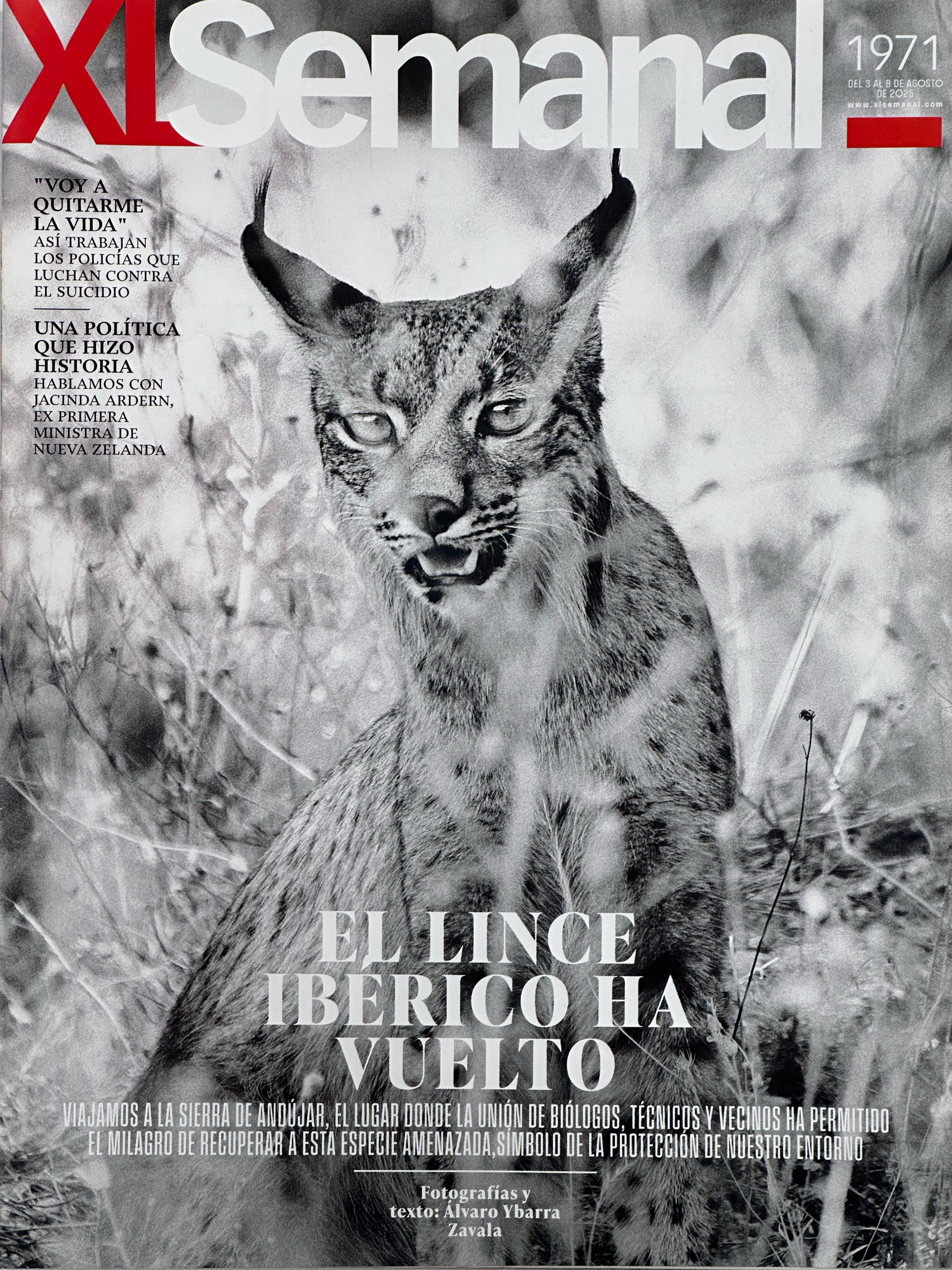 Artículo en El XL Semanal de El Pais sobre el Lince iberico - El Retorno del Guardian