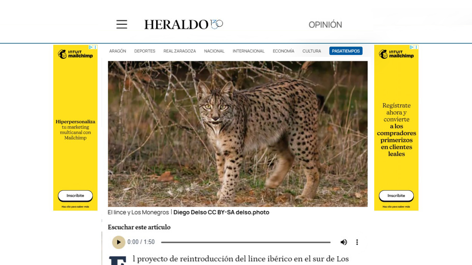 El lince y Los Monegros - Opinión - Héctor Azara - Heraldo de Aragon