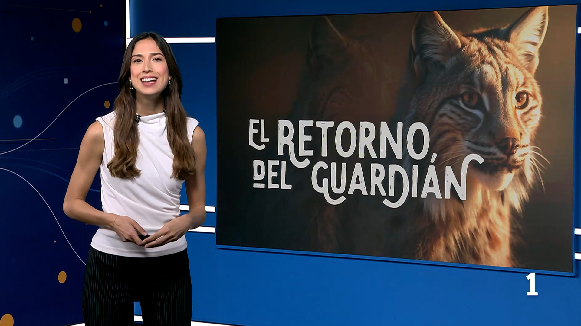 TVE-ARAGON-ENTREVISTA-ELRETORNODELGUARDIAN