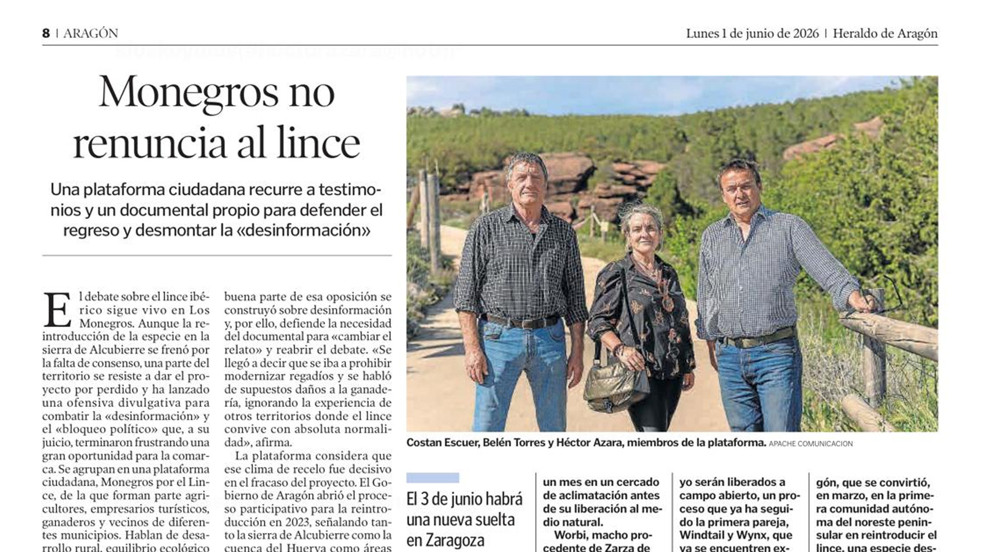 Monegros no renuncia al lince en ‘Heraldo de Aragón’